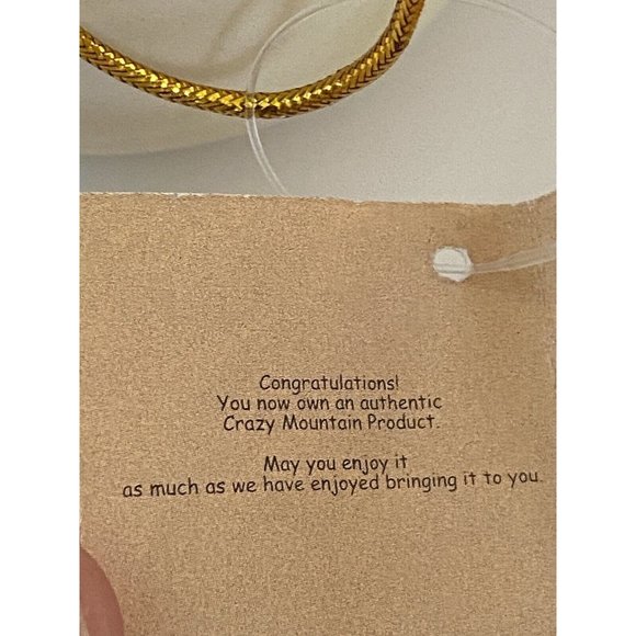 Crazy Mountain Ceramic Large Ornament Snowman Holding Lantern‎ Vintage 2000 NWT - Picture 13 of 16